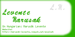 levente marusak business card